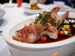 杭蒸东星斑-南麓·浙里(外滩店)