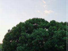 -上海市保健医疗中心