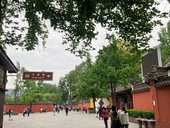 -殊德医馆