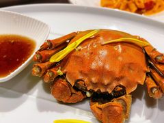-Da Ivo哒伊沃意大利魔镜餐厅(外滩店)