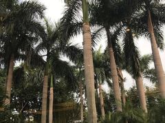 -筼筜书院