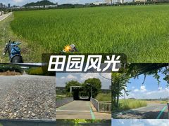 -光明小镇欢乐田园
