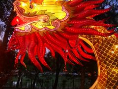 -南宫五洲植物乐园