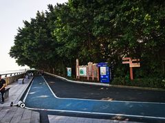 -大湾区中央湿地公园
