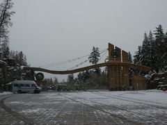 -五营红松林海景区