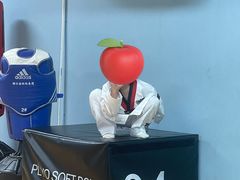 -嗨动跆拳道体能馆(菜百店)