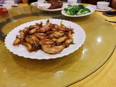 -鸿达渔港