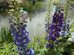 -人民公园(罗湖区)