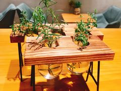 -ZING COFFEE 镜咖啡