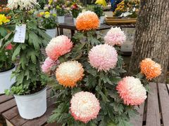 -共青国家森林公园-售票处