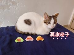 -汇邦中心ICON MALL