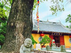 -龙华寺