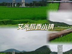 -艾米稻香小镇