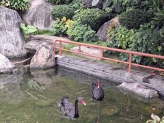 -南宁荔园维景国际酒店·荔园中餐厅
