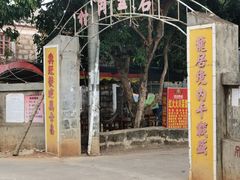 -涠洲岛香蕉鸡