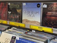 -浣熊唱片店(上海影城店)