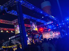 -第35届青岛国际啤酒节