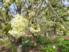 -江南大学(蠡湖校区)