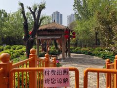 -太阳宫公园