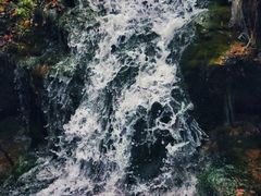 -黄花溪