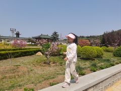 -龙口南山旅游景区