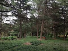 -黄兴公园
