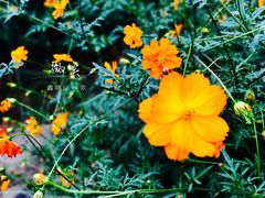 -艾溪湖湿地公园