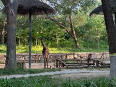 -北京野生动物园