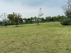-三垟湿地