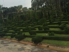 -东芭乐园
