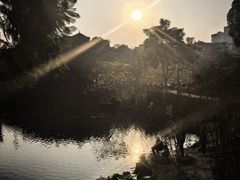 -重庆彩云湖湿地公园