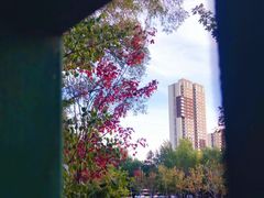 -哈尔滨文化公园