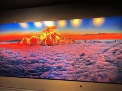 -罗红摄影艺术馆