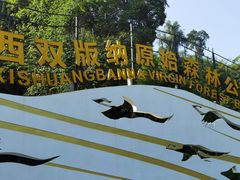 -西双版纳原始森林公园