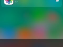 -Apple 零售店(Canton Road)