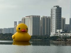 -馔豚·台北菜专门店(深圳湾万象城店)