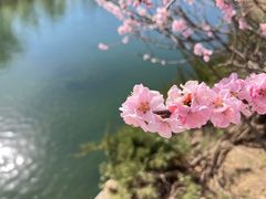 -东坝千亩湖公园