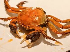 -聚味罗记大排檔·鲜鱼杂·甲鱼煲•龙虾馆(科学馆店)