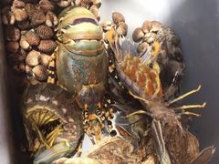 -王权免税店(普吉市区店)