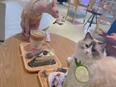 -藏猫猫咖啡主题馆(中央大道店)