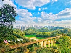-阳台山森林公园