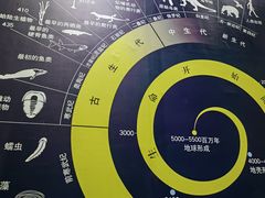 -中国西峡恐龙遗迹园