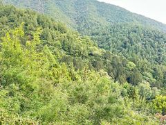 -北京十三陵国家森林公园蟒山景区