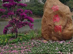 -怡海公园(桂城街道)