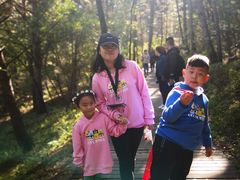 -帽儿山国家森林公园