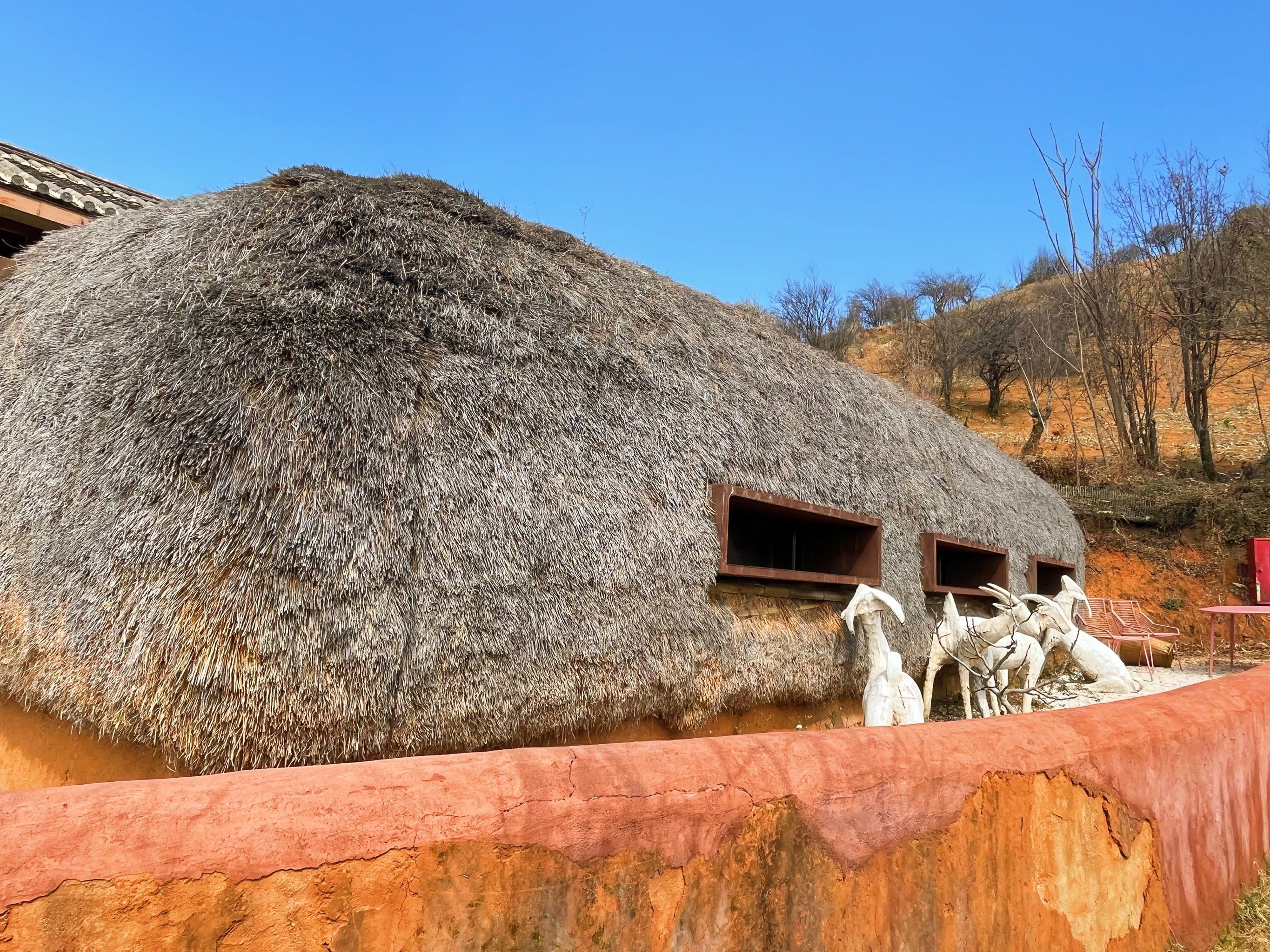 享受大自然的美 #一起玩遍云南大理 #大理旅拍
在双廊附近的山顶上
