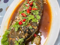 -东北田记家常菜