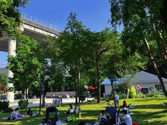 -阳台山森林公园