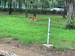 -秦皇岛野生动物园