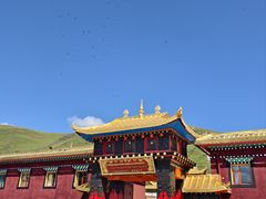 -塔公寺